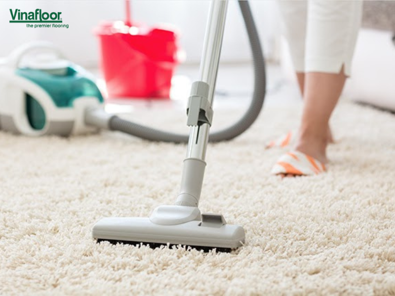 Cách khử mùi nước tiểu của động vật trên thảm và sàn nhà hiệu quả